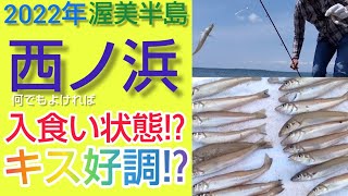 【西ノ浜のキス釣り】爆釣！！　キス＆メゴチ