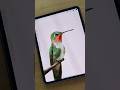 Procreate watercolor painting tips #procreatetutorials #procreate #beginnerarttips