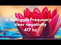 417 hz Remove All the Negative Energy in and Around you 1 hour, Solfeggio Frequency