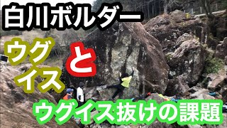 白川ボルダー　ピアチェーレ岩の課題！