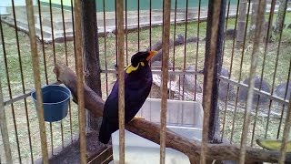 Playtube Pk Ultimate Video Sharing Website