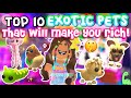 Top 10 EXOTIC PETS THAT WILL MAKE YOU RICH 🤑 (Adopt Me) | Its Cxco Twins