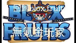 回歸blox fruits[無氪金玩家]