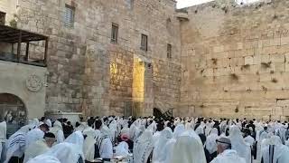 יום שישי בכותל המערבי הזריחה. Friday at the Western Wall Sunrise.