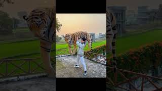 omg tiger 🐅🐯 #sahiljoshivlogs