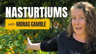 How to Grow, Propagate, and Use Nasturtiums