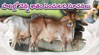 పాలల్లో  వెన్న శాతం పెంచుటకు సూచనలు || డా II జె. శ్రీకాంత్, VAS, అనంతపురం