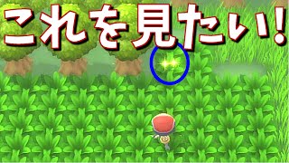 [ポケモン　ダイパリメイク]（色違い）これを見たくて、やります！（ポケトレpart10）[ポケットモンスター　ブリリアントダイヤ・シャイニングパール]