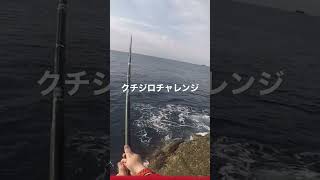 #石鯛釣り#クチジロ釣り#クチジロチャレンジ