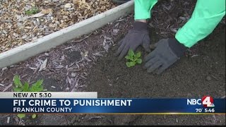 Fitting crime to punishment in Franklin County