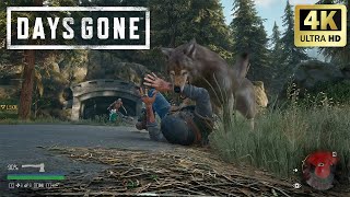 Days Gone - 4K60FPS Gameplay