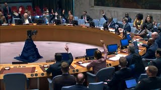 Consejo de Seguridad de la ONU aprueba sanciones contra grupos armados en Haití | AFP