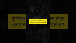 দুশ্চিন্তা দূর করতে মেনে চলুন কোরআনের সাতটি নির্দেশনা #shortvideo #motivation