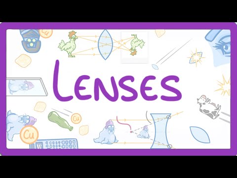 Who uses concave lens?