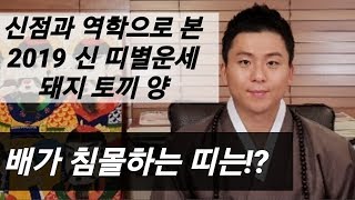 돼지띠 토끼띠 양띠 2019 신년운세! 저절로 부자 되는 띠는!? 무속인 오왕근 용한점집