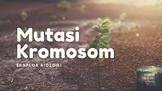 3  Mutasi Kromosom (Biologi Kelas XII)