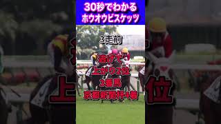 【日本ダービー2023】30秒でわかるホウオウビスケッツ