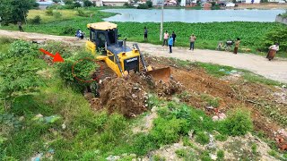 OMG!! Perfectly Dozer Clearing Forest Step by Step | Clearing The Land Project Using SHANTUI Dozer