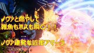 【ボーダーランズ３】近接ノヴァ連発アマーラ