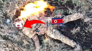 Ukrainian troops killed dozens of North Korean soldiers in a very tragic manner