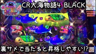 裏サメで当たると昇格しやすい⁉️『CR大海物語4 BLACK』ごみくずパチンカス【128】