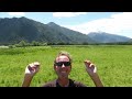 THE GOAT of Sports Travel in New Zealand - with his flock of goats or sheep? Forget it, he's rolling