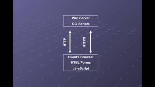CNIT 123 10: Hacking Web Servers (Part 1)