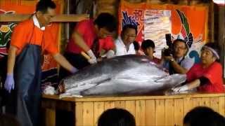 マグロ解体　大間町ブルーマリンフェスティバル2015 8月