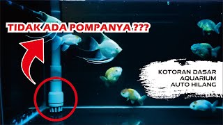 Cara Menyembunyikan Pompa Aquarium untuk Top Filter | Kotoran Dasar Aquarium Tersedot Semua