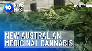 New Australian Medicinal Cannabis Company | 10 News First