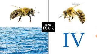 BBC Four Abstract (John Smith) Ident 2014.