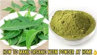 How I Make 100% Organic Neem Powder At Home. My Secret Tips To Get Dark Green Colour In It 👌#shorts