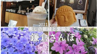 【vlog】鎌倉さんぽ／食べ歩きと、新緑と紫陽花に癒される長谷／2021.june　in kamakura