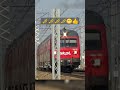 [#shorts]🎺🥳Szalone pociągi/Crazy trains🤪 #kolej #trains