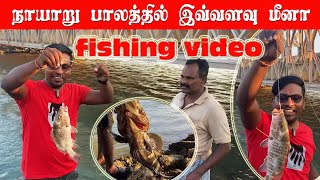 நாயாறு பாலத்தில் தூண்டில் மீன்பிடி | முல்லைத்தீவு நாயாறு|பெரிய மீன்கள் | Valvai Sulax | Mullaitivu