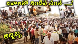 అయిజ సంతలో పొట్టేళ్ల రేట్లు-ఐజ సంత-ieeja sheeps market