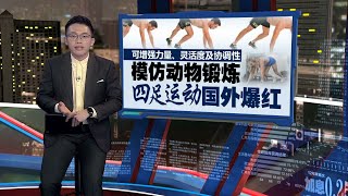 模仿动物四肢着地锻炼   四足运动国外爆红｜新闻报报看 11/01/2025