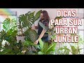 COMO DECORAR sua SALA com PLANTAS - Decoração de sala com plantas ornamentais