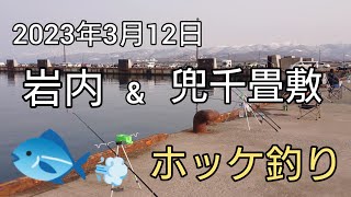 2023年3月12日     ホッケのフライが食べたいオッサンのプチ遠征