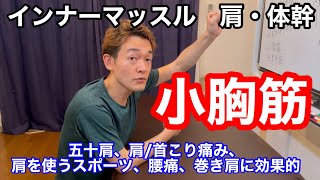 【肩・体幹インナーマッスルトレーニング】・小胸筋 五十肩、肩/首こり痛み、肩を使うスポーツ、腰痛、巻き肩に効果的　からだが驚くほど軽くなる！インナーマッスル専門家理学療法士　行之内横浜馬車道の整体院