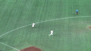 巨人 坂本勇人 ナイスプレー　巨人 vs 阪神　2024年7月17日(水) 東京ドーム