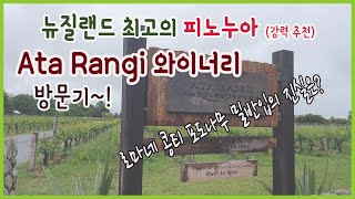 뉴질랜드 최고의 피노누아를 만드는 Ata Rangi (아타랑이) 와이너리를 방문했습니다!! (뉴질랜드의 로마네 콩티)