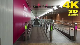 TOKYO.| 羽田空港 .| Haneda Airport - Walking inside Terminal 1 \u0026 2. [ 4K. Binaural Audio]