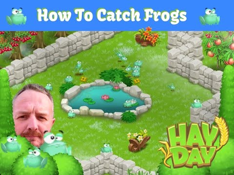 Hay Day Frogs - The Phan Tom Method To Catching Frogs Hay Day Frogs - The Phan Tom Method To Catching Frogs