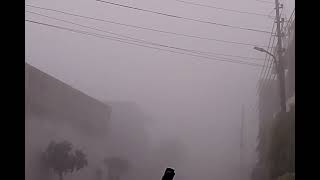 ये घना कोहरा और जानलेवा ठंड  !! #heavy #mist #in #mycity ......#new #video #uttrakhand