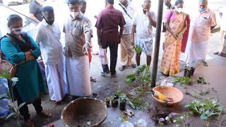 അപൂര്‍വ സസ്യങ്ങളും വിത്തുകളും; ശ്രദ്ധേയമായി വിത്തുകുട്ട പദ്ധതി | Kottayam | Seeds | Vithu kutta proj