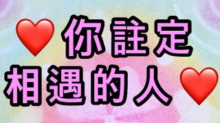 Candice塔羅占卜🔮你註定相遇的人❤️給你的訊息 /愛情/金錢/健康/運勢/頻率/感情/幸福/喜悅/傳訊/靈性/塔羅/占卜/有選項