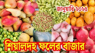 শিয়ালদহ ফলের বাজার l Sealdah Wholesale Fruit Market l Biggest Fruit Market in Kolkata l