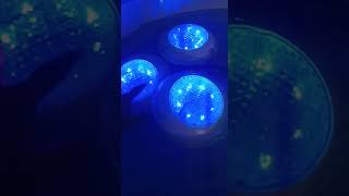 #Underwater RGB LED Lights.