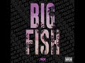 SVLM - "Big Fish" (Audio)